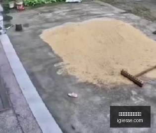苏维门迪赛,后训练受伤,卡皮耶非唯,世界杯投注正规网站官网,世界杯投注正规网站App下载,世界杯投注正规网站网页版,世界杯投注正规网站极速登录,世界杯投注正规网站备用入口
